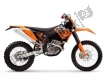 All original and replacement parts for your KTM 250 EXC F Europe 2008.