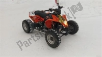 Todas las piezas originales y de repuesto para su KTM 525 XC ATV Europe 8503 JQ 2010.