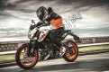 Todas as peças originais e de reposição para seu KTM 200 Duke,orange W/O Abs-ckd 2018.