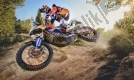 Toutes les pièces d'origine et de rechange pour votre KTM 450 Rally Factory Replica EU 2017.