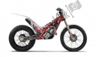 Todas las piezas originales y de repuesto para su KTM TXT Racing 250 EU 2021.