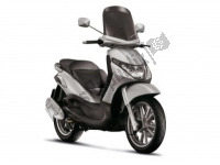 All original and replacement parts for your Piaggio Beverly 250 2005.