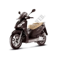 All original and replacement parts for your Piaggio Carnaby 250 4T IE E3 2008.