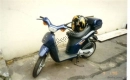 All original and replacement parts for your Piaggio Free Pptt 50 1995.