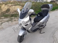 Alle originele en vervangende onderdelen voor uw Piaggio X9 250 Evolution 2006.