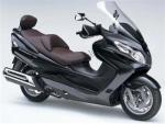 Options and accessories for the Suzuki AN 250 Burgman  - 2005