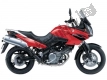 Todas as peças originais e de reposição para seu Suzuki DL 650 V Strom 2005.