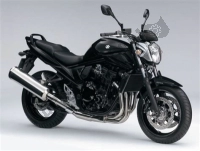 Toutes les pièces d'origine et de rechange pour votre Suzuki GSF 650 Nsnasa Bandit 2010.