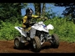 All original and replacement parts for your Suzuki LT Z 250Z Quadsport 2010.