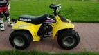 Alle originele en vervangende onderdelen voor uw Suzuki LT 50 Quadrunner 2002.