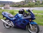 Inne per il Suzuki RF 600 R - 1997