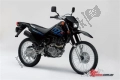 Todas las piezas originales y de repuesto para su Suzuki DR 200S 2017.