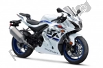 Suzuki Gsx-r 1000 RA - 2018 | Todas las piezas