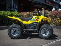 Suzuki LT-A 500X 2019 viste esplose