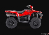 Suzuki LT-A 500 XP 2019 viste esplose