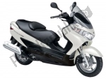 Options and accessories for the Suzuki UH 125 Burgman  - 2010