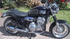 Alle originele en vervangende onderdelen voor uw Triumph Thunderbird 885 1995 - 2003.