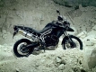 Wszystkie oryginalne i zamienne części do Twojego Triumph Tiger 800 XC 2011 - 2015.