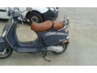 Todas as peças originais e de reposição para seu Vespa LXV 50 2T Navy 2007.