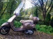 Wszystkie oryginalne i zamienne części do Twojego Vespa Vespa 125 4T 3V IE Primavera EU 2014.