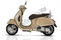 Tutte le parti originali e di ricambio per il tuo Vespa Vespa GTS 300 IE ABS USA Canada 2014.