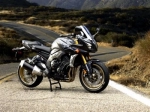 Yamaha FZ1 1000 N - 2008 | Todas as partes