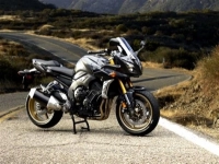 Todas as peças originais e de reposição para seu Yamaha FZ1 NA Fazer 1000 2008.