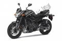 Alle originele en vervangende onderdelen voor uw Yamaha FZ8 N 800 2013.