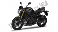 Todas as peças originais e de reposição para seu Yamaha FZ8 S 800 2014.