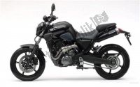 All original and replacement parts for your Yamaha MT 03 660 2008.