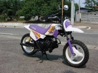 Todas as peças originais e de reposição para seu Yamaha PW 50 1995.