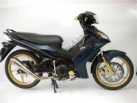 Todas as peças originais e de reposição para seu Yamaha T 135 FI Crypton X 2009.