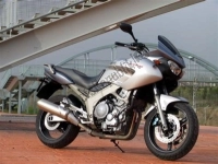 Tutte le parti originali e di ricambio per il tuo Yamaha TDM 900 2005.