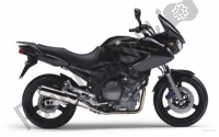 Todas las piezas originales y de repuesto para su Yamaha TDM 900 2006.