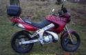 All original and replacement parts for your Yamaha TDR 125 1999.
