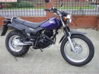 Tutte le parti originali e di ricambio per il tuo Yamaha TW 125 2004.