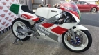 All original and replacement parts for your Yamaha TZ 250U 1988.