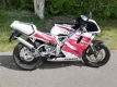 Alle originele en vervangende onderdelen voor uw Yamaha TZR 125 1995.