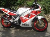 All original and replacement parts for your Yamaha TZR 250 1989.