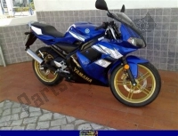 Todas as peças originais e de reposição para seu Yamaha TZR 50 2009.