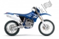 Toutes les pièces d'origine et de rechange pour votre Yamaha WR 250F 2006.