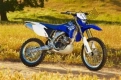 Todas as peças originais e de reposição para seu Yamaha WR 250F 2007.