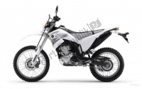 Alle originele en vervangende onderdelen voor uw Yamaha WR 250R 2008.