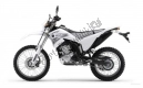 Tutte le parti originali e di ricambio per il tuo Yamaha WR 250R 2008.