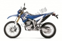Toutes les pièces d'origine et de rechange pour votre Yamaha WR 250R 2011.