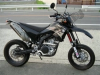All original and replacement parts for your Yamaha WR 250X 2009.