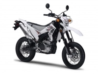 Alle originele en vervangende onderdelen voor uw Yamaha WR 250X 2010.