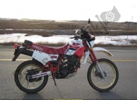 Todas as peças originais e de reposição para seu Yamaha XT 600 1987.