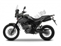 Wszystkie oryginalne i zamienne części do Twojego Yamaha XT 660Z Tenere 2009.