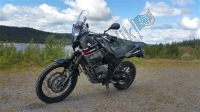 Alle originele en vervangende onderdelen voor uw Yamaha XT 660Z Tenere 2010.